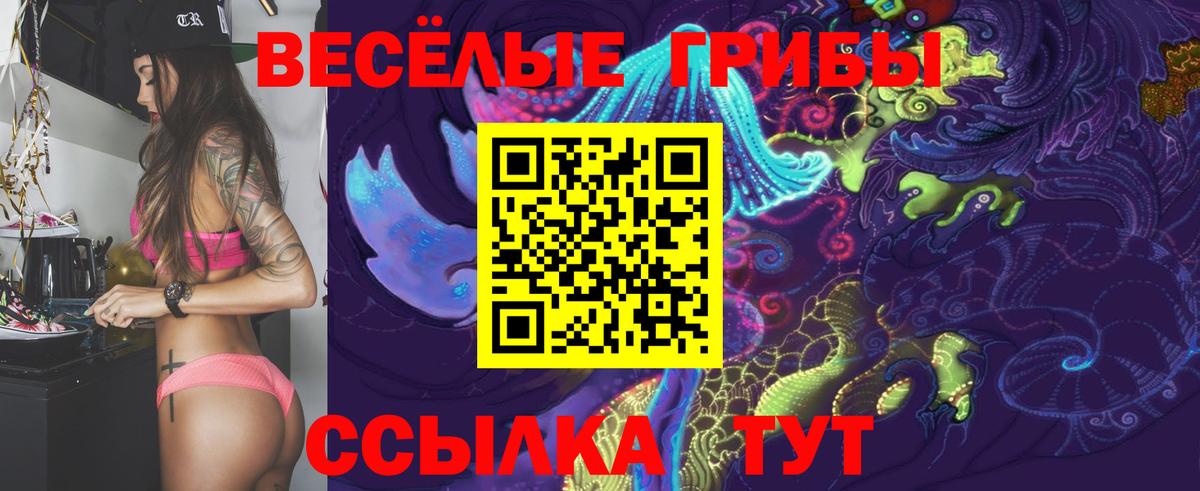 Псилоцибиновые грибы прущие грибы Ишим