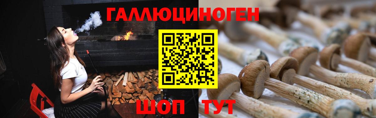 Ишим  Псилоцибиновые грибы MAGIC MUSHROOMS  хочу наркоту  Вход с VPN 